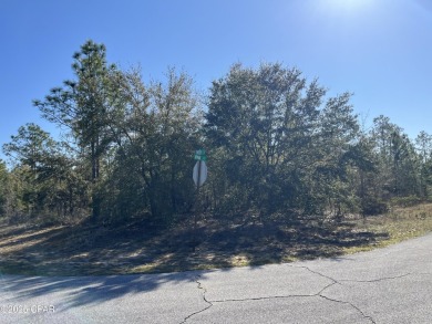 This over-sized corner lot is located in Unit 1 of the peaceful on Sunny Hills Golf and Country Club in Florida - for sale on GolfHomes.com, golf home, golf lot