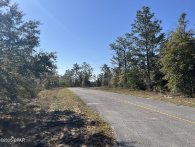 This over-sized corner lot is located in Unit 1 of the peaceful on Sunny Hills Golf and Country Club in Florida - for sale on GolfHomes.com, golf home, golf lot