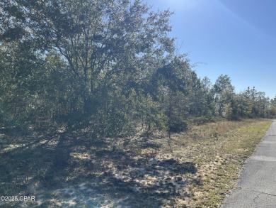 This over-sized corner lot is located in Unit 1 of the peaceful on Sunny Hills Golf and Country Club in Florida - for sale on GolfHomes.com, golf home, golf lot