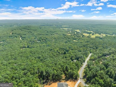 AMAZING BUILDING OPPORTUNITY IN PREMIER NORTHEAST GEORGIA GOLF on The Orchard Golf and Country Club in Georgia - for sale on GolfHomes.com, golf home, golf lot