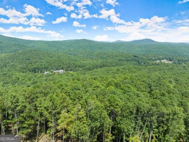 AMAZING BUILDING OPPORTUNITY IN PREMIER NORTHEAST GEORGIA GOLF on The Orchard Golf and Country Club in Georgia - for sale on GolfHomes.com, golf home, golf lot