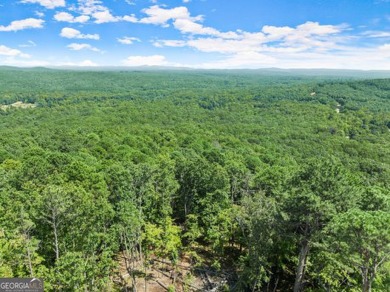 AMAZING BUILDING OPPORTUNITY IN PREMIER NORTHEAST GEORGIA GOLF on The Orchard Golf and Country Club in Georgia - for sale on GolfHomes.com, golf home, golf lot