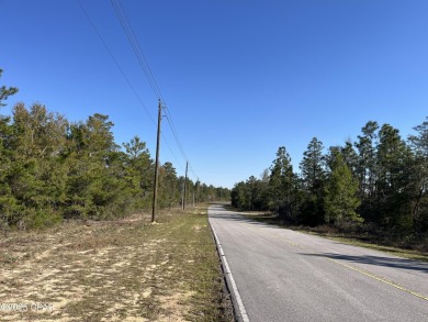 Oversized building lot located in the growing Sunny Hills on Sunny Hills Golf and Country Club in Florida - for sale on GolfHomes.com, golf home, golf lot