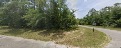 Discover the perfect corner lot in Unit 1 of Sunny Hills on Sunny Hills Golf and Country Club in Florida - for sale on GolfHomes.com, golf home, golf lot