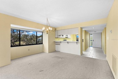 Discover easy, low-maintenance living in the desirable 55+ Green on Tarpon Springs Golf Course in Florida - for sale on GolfHomes.com, golf home, golf lot