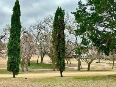 WOW...that Lake VIEW!! Every day begins  ends with breathtaking on Lakeside Village Golf Course in Texas - for sale on GolfHomes.com, golf home, golf lot