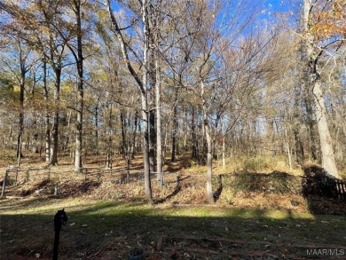 Location, location, location!  Back right up to the Wynlakes on Wynlakes Golf and Country Club in Alabama - for sale on GolfHomes.com, golf home, golf lot