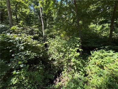 Explore the potential of four scenic lots located on a quiet for sale on GolfHomes.com