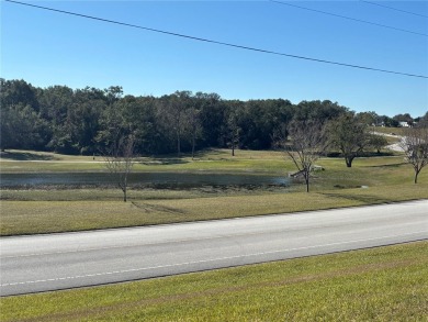 Welcome to Zellwood Station 55+ Golf Community, where the good on Zellwood Station Country Club in Florida - for sale on GolfHomes.com, golf home, golf lot