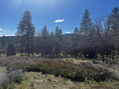 Beautiful Golf Course View Home Site at the Running Y Resort on Running Y Ranch Resort in Oregon - for sale on GolfHomes.com, golf home, golf lot