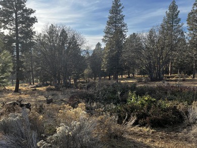 Beautiful Golf Course View Home Site at the Running Y Resort on Running Y Ranch Resort in Oregon - for sale on GolfHomes.com, golf home, golf lot