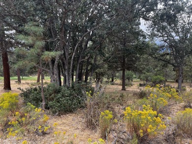 Beautiful Golf Course View Home Site at the Running Y Resort on Running Y Ranch Resort in Oregon - for sale on GolfHomes.com, golf home, golf lot
