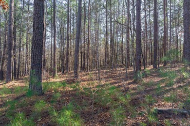 HIGHLY SOUGHT AFTER LOT NEAR THE CREEK CLUB AT REYNOLDS LAKE on Reynolds Lake Oconee - The Oconee in Georgia - for sale on GolfHomes.com, golf home, golf lot