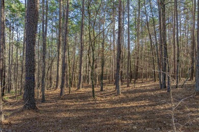 HIGHLY SOUGHT AFTER LOT NEAR THE CREEK CLUB AT REYNOLDS LAKE on Reynolds Lake Oconee - The Oconee in Georgia - for sale on GolfHomes.com, golf home, golf lot