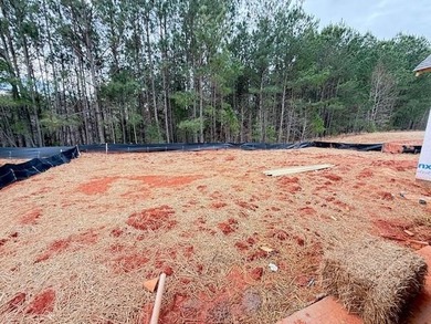 The all-new Orchard B plan by My Home Communities is in Phase on Harbor Club Golf and Country Club in Georgia - for sale on GolfHomes.com, golf home, golf lot