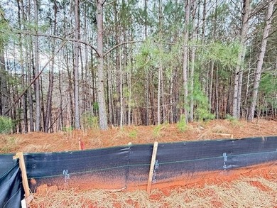 The all-new Orchard B plan by My Home Communities is in Phase on Harbor Club Golf and Country Club in Georgia - for sale on GolfHomes.com, golf home, golf lot