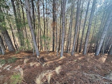 The all-new Saxton IA  plan by My Home Communities is in Phase on Harbor Club Golf and Country Club in Georgia - for sale on GolfHomes.com, golf home, golf lot