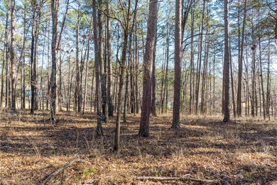 Beautiful golf lot located on the #2 hole of the Preserve on Reynolds Lake Oconee - The Oconee in Georgia - for sale on GolfHomes.com, golf home, golf lot