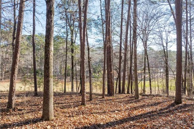 Beautiful golf lot located on the #2 hole of the Preserve on Reynolds Lake Oconee - The Oconee in Georgia - for sale on GolfHomes.com, golf home, golf lot