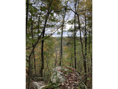 Rare opportunity to purchase a 5+ acre home site in Signal on Signal Mountain Golf and Country Club in Tennessee - for sale on GolfHomes.com, golf home, golf lot