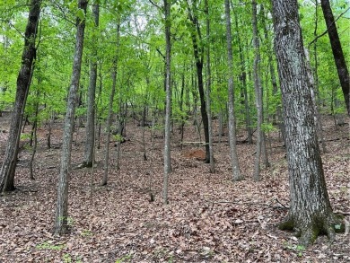 Building Lot in Big Canoe  Priced to Sell!Heres your chance to on Big Canoe Golf Club - Cherokee in Georgia - for sale on GolfHomes.com, golf home, golf lot