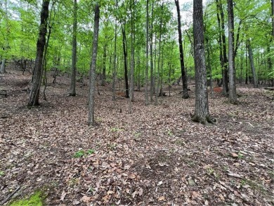 Building Lot in Big Canoe  Priced to Sell!Heres your chance to on Big Canoe Golf Club - Cherokee in Georgia - for sale on GolfHomes.com, golf home, golf lot