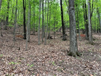 Building Lot in Big Canoe  Priced to Sell!Heres your chance to on Big Canoe Golf Club - Cherokee in Georgia - for sale on GolfHomes.com, golf home, golf lot