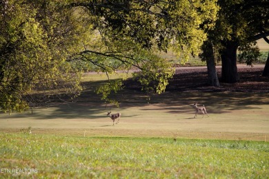 Golden opportunity to own one of the choice view lots in TN on Tennessee National Golf Club in Tennessee - for sale on GolfHomes.com, golf home, golf lot