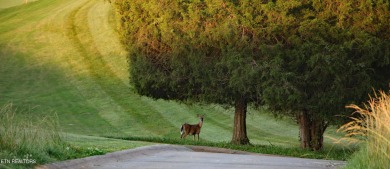 Golden opportunity to own one of the choice view lots in TN on Tennessee National Golf Club in Tennessee - for sale on GolfHomes.com, golf home, golf lot