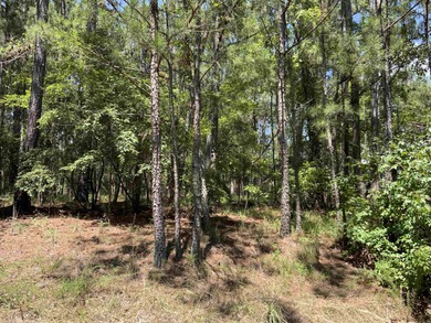 Very nice building lot on the Reynolds Landing Golf Course on Reynolds Lake Oconee - The Landing in Georgia - for sale on GolfHomes.com, golf home, golf lot