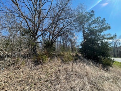 Riders Paradise! Build your dream home on this .32ac lot & have on Bella Vista - Metfield Golf Complex and Country Club in Arkansas - for sale on GolfHomes.com, golf home, golf lot