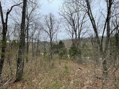 Riders Paradise! Build your dream home on this .32ac lot & have on Bella Vista - Metfield Golf Complex and Country Club in Arkansas - for sale on GolfHomes.com, golf home, golf lot