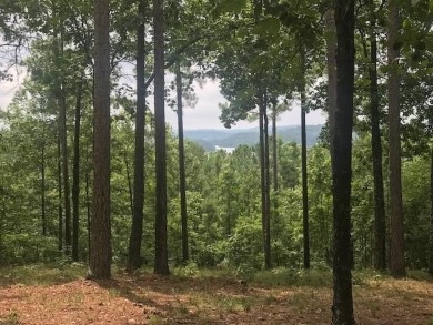 Beautiful sloped lot with some views of the Blue Ridge Mountains on The Cliffs At Keowee Falls in South Carolina - for sale on GolfHomes.com, golf home, golf lot