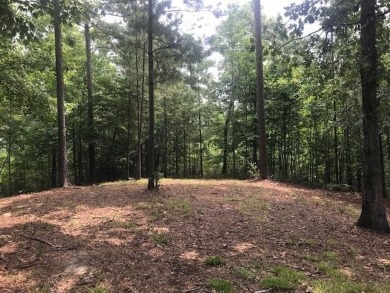 Beautiful sloped lot with some views of the Blue Ridge Mountains on The Cliffs At Keowee Falls in South Carolina - for sale on GolfHomes.com, golf home, golf lot