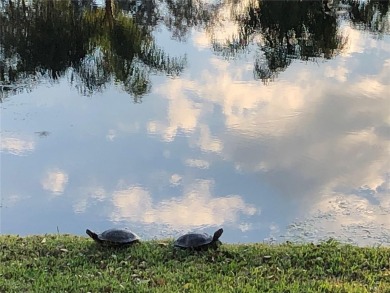 One or more photo(s) has been virtually staged. Captivating Golf on Orange Tree Golf Club in Florida - for sale on GolfHomes.com, golf home, golf lot