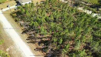 Build your dream home on this spacious 0.50-acre vacant lot on Indian Lake Estates Golf and Country Club in Florida - for sale on GolfHomes.com, golf home, golf lot