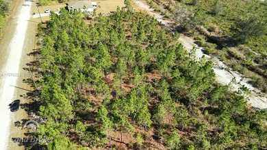 Build your dream home on this spacious 0.50-acre vacant lot on Indian Lake Estates Golf and Country Club in Florida - for sale on GolfHomes.com, golf home, golf lot