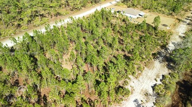 Build your dream home on this spacious 0.50-acre vacant lot on Indian Lake Estates Golf and Country Club in Florida - for sale on GolfHomes.com, golf home, golf lot