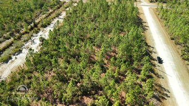 Build your dream home on this spacious 0.50-acre vacant lot on Indian Lake Estates Golf and Country Club in Florida - for sale on GolfHomes.com, golf home, golf lot