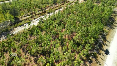 Build your dream home on this spacious 0.50-acre vacant lot on Indian Lake Estates Golf and Country Club in Florida - for sale on GolfHomes.com, golf home, golf lot