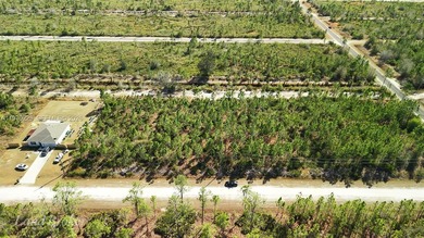 Build your dream home on this spacious 0.50-acre vacant lot on Indian Lake Estates Golf and Country Club in Florida - for sale on GolfHomes.com, golf home, golf lot