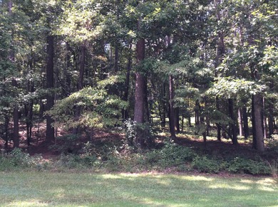 Fabulous interior lot on the original side of Harbor Club. Just on Harbor Club Golf and Country Club in Georgia - for sale on GolfHomes.com, golf home, golf lot