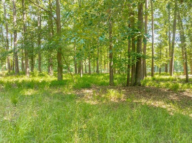 Views along the tranquil 12th green of the prestigious Jack on Great Waters Course At Reynolds Plantation in Georgia - for sale on GolfHomes.com, golf home, golf lot