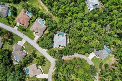 Sip Mimosas from your private poolside paradise! When you live on Sugarmill Woods Golf and Country Club in Florida - for sale on GolfHomes.com, golf home, golf lot