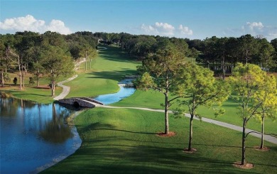 Enjoy the quiet but active lifestyle at Las Colinas in the on Mission Inn Resort and Club in Florida - for sale on GolfHomes.com, golf home, golf lot