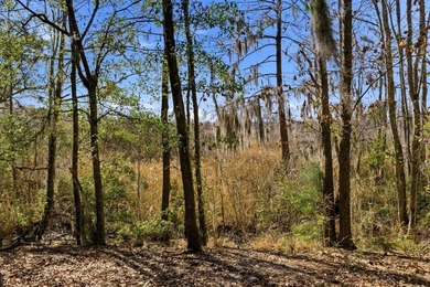 One of the few remaining lots in the prestigious gated golf on Willbrook Plantation Golf Club in South Carolina - for sale on GolfHomes.com, golf home, golf lot
