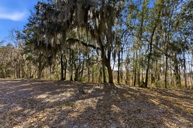 One of the few remaining lots in the prestigious gated golf on Willbrook Plantation Golf Club in South Carolina - for sale on GolfHomes.com, golf home, golf lot