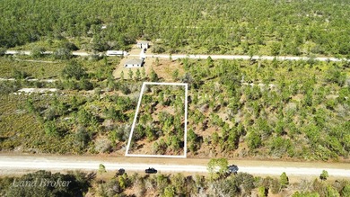 0.50-acre vacant lot on Portulaca Dr in Indian Lake Estates, FL on Indian Lake Estates Golf and Country Club in Florida - for sale on GolfHomes.com, golf home, golf lot