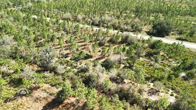 0.50-acre vacant lot on Portulaca Dr in Indian Lake Estates, FL on Indian Lake Estates Golf and Country Club in Florida - for sale on GolfHomes.com, golf home, golf lot