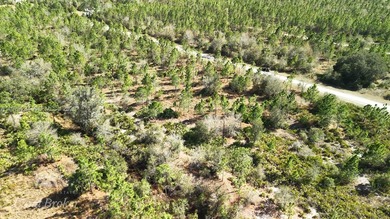 0.50-acre vacant lot on Portulaca Dr in Indian Lake Estates, FL on Indian Lake Estates Golf and Country Club in Florida - for sale on GolfHomes.com, golf home, golf lot